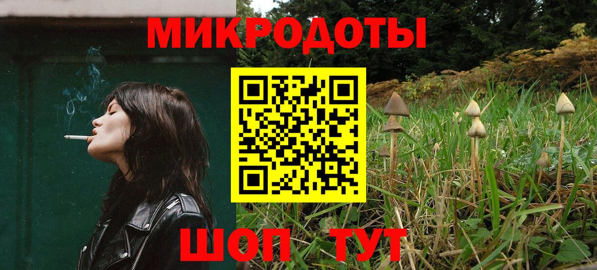 Псилоцибиновые грибы мицелий Киржач